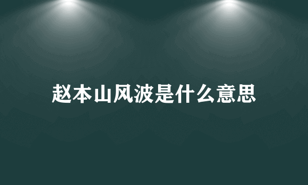 赵本山风波是什么意思