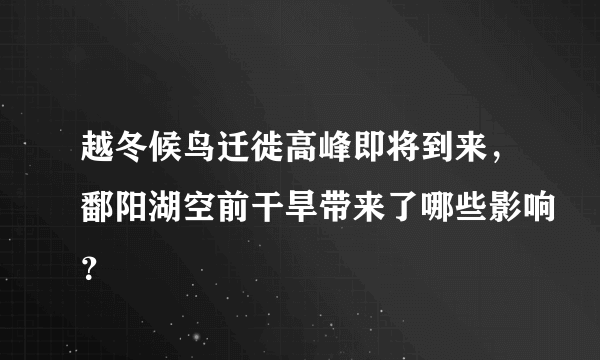 越冬候鸟迁徙高峰即将到来，鄱阳湖空前干旱带来了哪些影响？