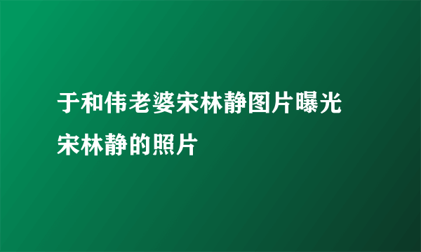 于和伟老婆宋林静图片曝光 宋林静的照片