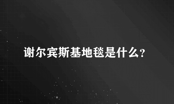 谢尔宾斯基地毯是什么？