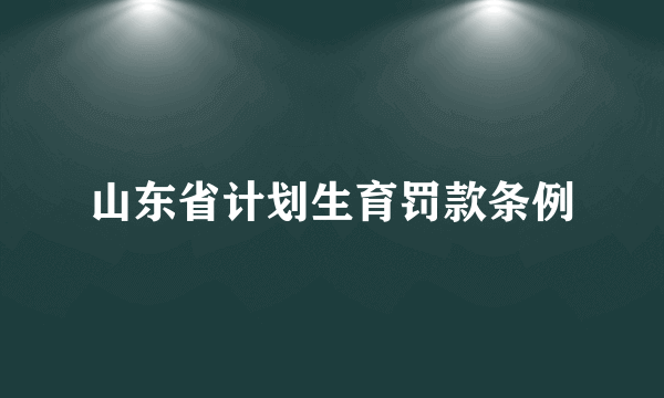 山东省计划生育罚款条例