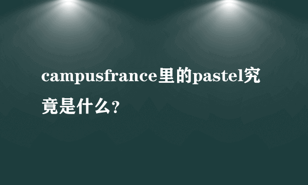 campusfrance里的pastel究竟是什么？