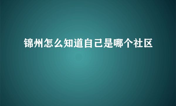 锦州怎么知道自己是哪个社区