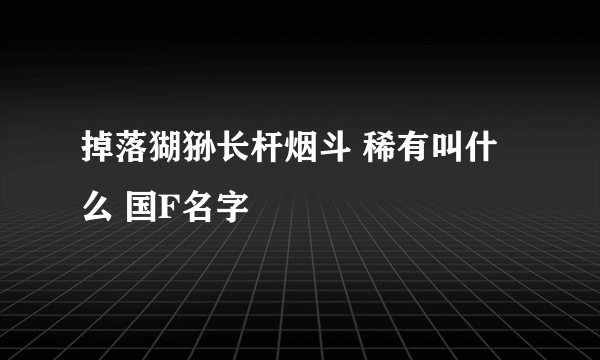 掉落猢狲长杆烟斗 稀有叫什么 国F名字