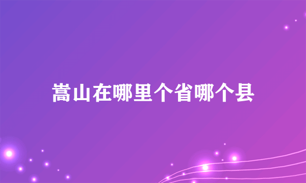 嵩山在哪里个省哪个县