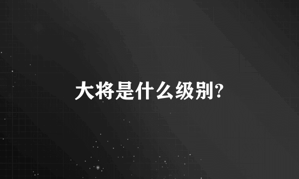 大将是什么级别?