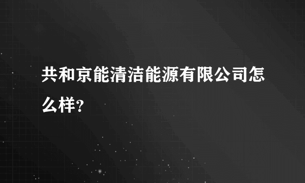 共和京能清洁能源有限公司怎么样？