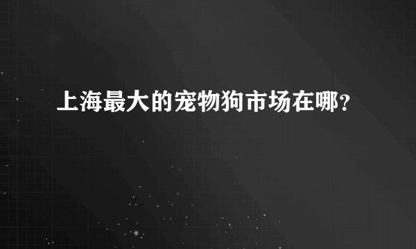 上海最大的宠物狗市场在哪？