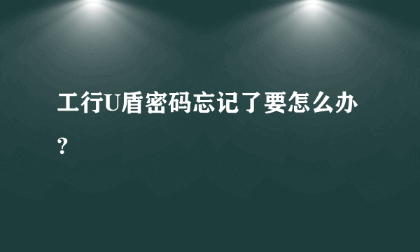 工行U盾密码忘记了要怎么办？