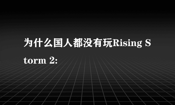 为什么国人都没有玩Rising Storm 2: