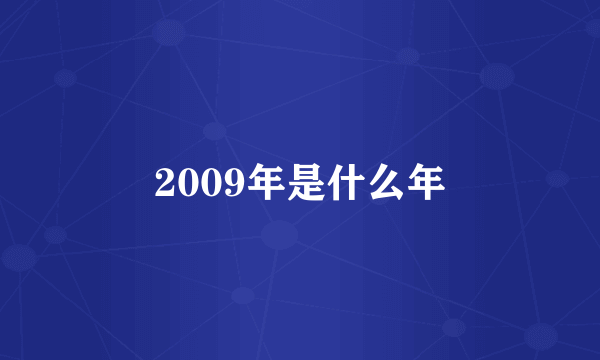 2009年是什么年