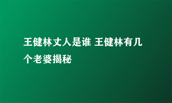 王健林丈人是谁 王健林有几个老婆揭秘