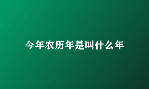 今年农历年是叫什么年