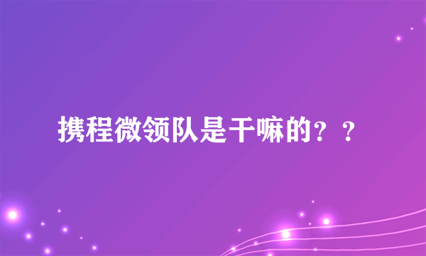 携程微领队是干嘛的？？