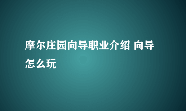 摩尔庄园向导职业介绍 向导怎么玩