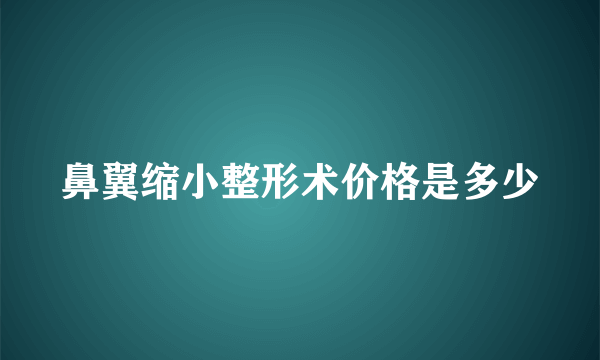 鼻翼缩小整形术价格是多少