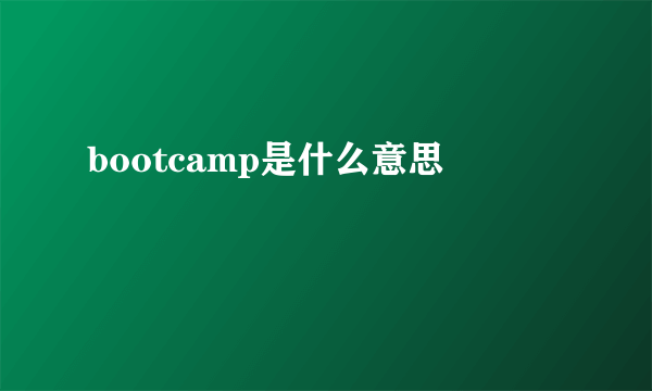 bootcamp是什么意思