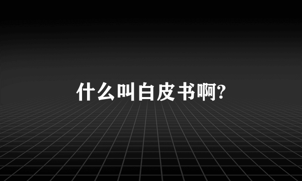 什么叫白皮书啊?