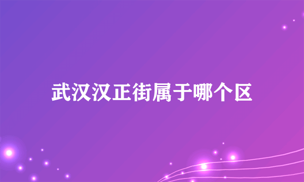 武汉汉正街属于哪个区