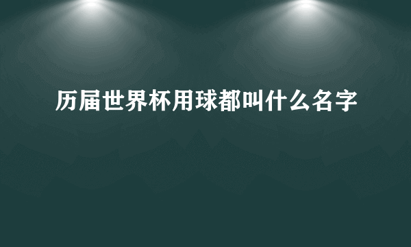 历届世界杯用球都叫什么名字