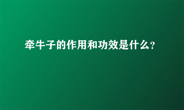 牵牛子的作用和功效是什么？