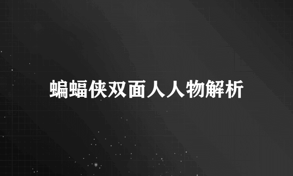 蝙蝠侠双面人人物解析