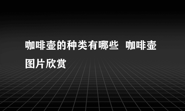 咖啡壶的种类有哪些  咖啡壶图片欣赏