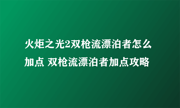 火炬之光2双枪流漂泊者怎么加点 双枪流漂泊者加点攻略