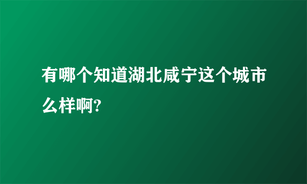 有哪个知道湖北咸宁这个城市么样啊?