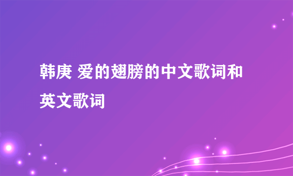 韩庚 爱的翅膀的中文歌词和英文歌词