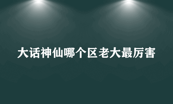 大话神仙哪个区老大最厉害