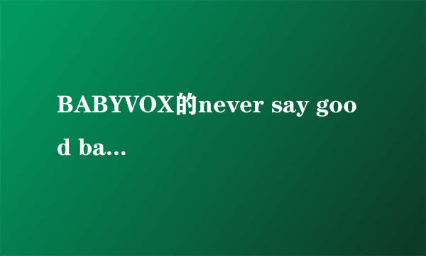 BABYVOX的never say good bay的中文歌词？