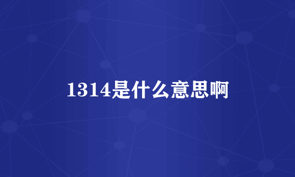 1314是什么意思啊