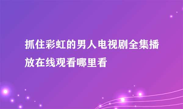 抓住彩虹的男人电视剧全集播放在线观看哪里看