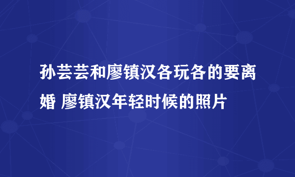 孙芸芸和廖镇汉各玩各的要离婚 廖镇汉年轻时候的照片