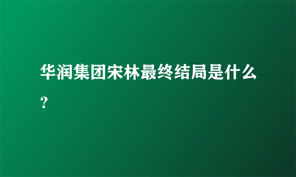 华润集团宋林最终结局是什么？