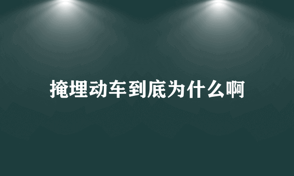 掩埋动车到底为什么啊