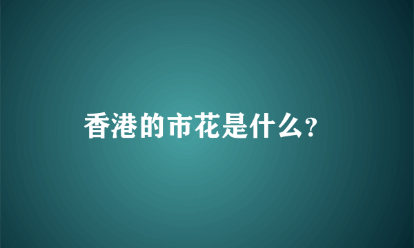 香港的市花是什么？