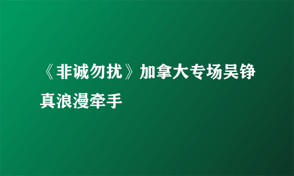 《非诚勿扰》加拿大专场吴铮真浪漫牵手