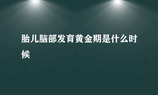 胎儿脑部发育黄金期是什么时候