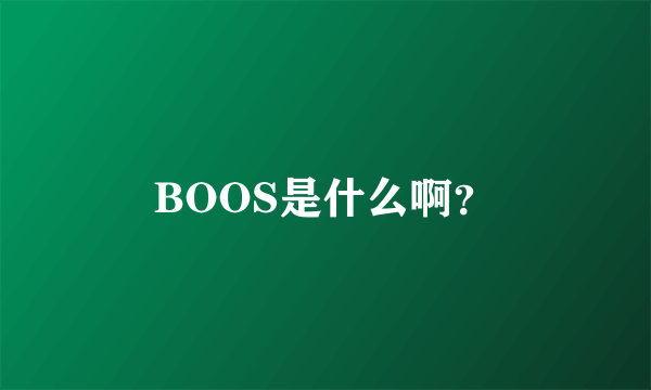 BOOS是什么啊？