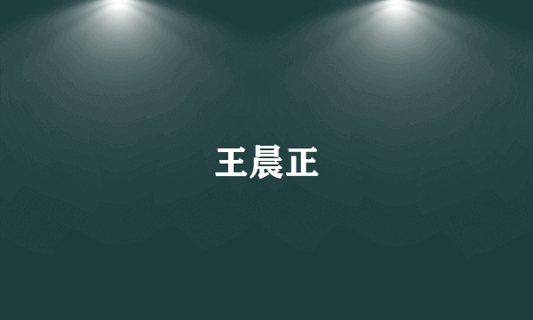 王晨正