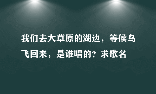 我们去大草原的湖边，等候鸟飞回来，是谁唱的？求歌名