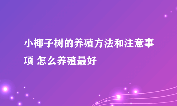 小椰子树的养殖方法和注意事项 怎么养殖最好