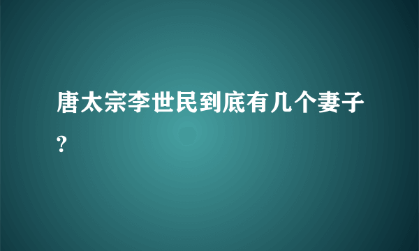 唐太宗李世民到底有几个妻子?