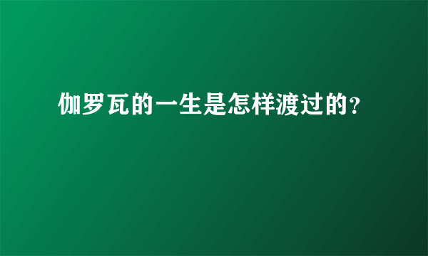 伽罗瓦的一生是怎样渡过的？