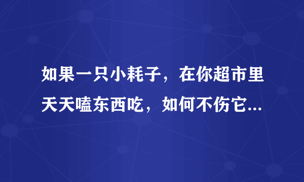 如果一只小耗子，在你超市里天天嗑东西吃，如何不伤它还能赶走它？