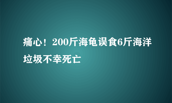 痛心！200斤海龟误食6斤海洋垃圾不幸死亡