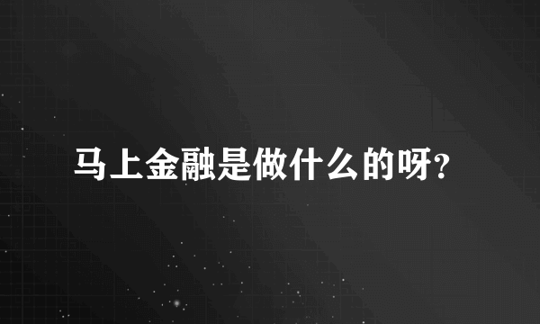 马上金融是做什么的呀？