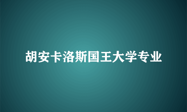 胡安卡洛斯国王大学专业